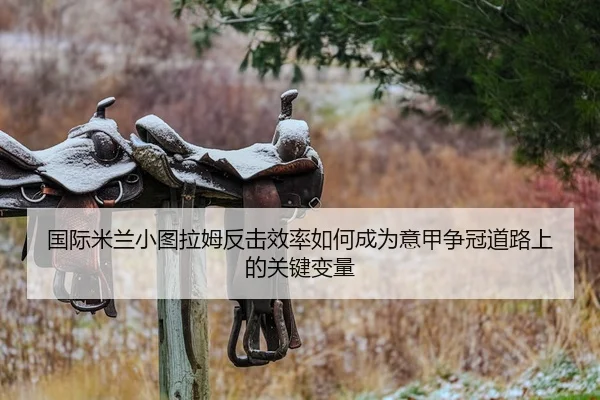 国际米兰小图拉姆反击效率如何成为意甲争冠道路上的关键变量