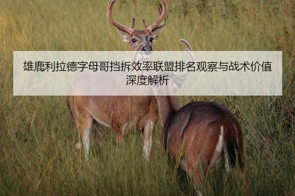 雄鹿利拉德字母哥挡拆效率联盟排名观察与战术价值深度解析